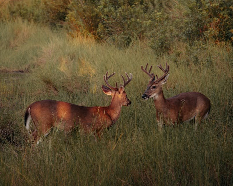 Milwaukee Bucks Rumors: Trade Targets and Roster Moves 2026